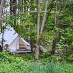 tent in bos