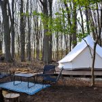 terras in bos