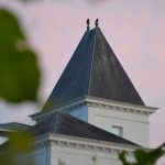 vogels op kasteel