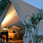 tent en plant
